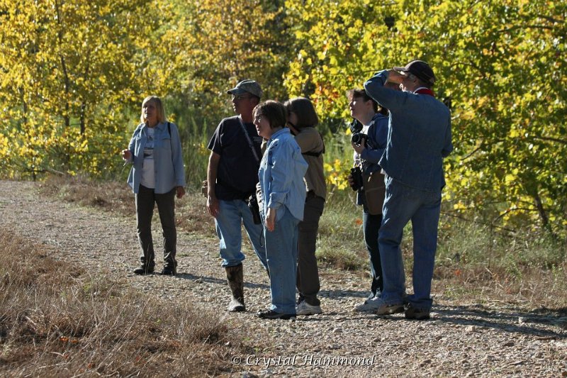 Pause on trail.jpg